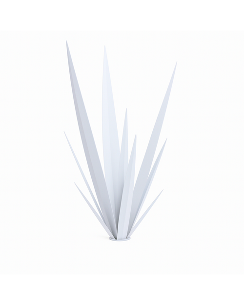 Aube Végétale Blanc