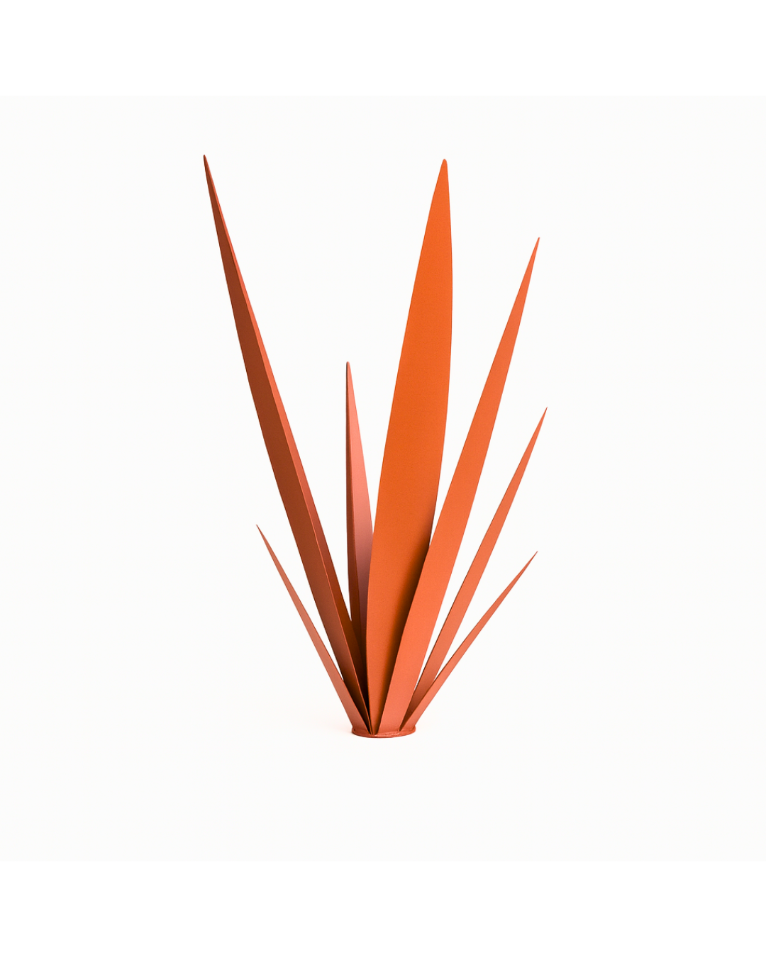 Aube Végétale Orange